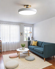 Lampa Sufitowa Półpłaska | Nowoczesny, Minimalistyczny Design z Ciepłym Oświetleniem LED