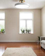 Lampa Sufitowa Półpłaska | Nowoczesny, Minimalistyczny Design z Ciepłym Oświetleniem LED