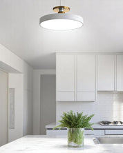 Lampa Sufitowa Półpłaska | Nowoczesny, Minimalistyczny Design z Ciepłym Oświetleniem LED