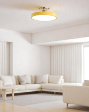 Lampa Sufitowa Półpłaska | Nowoczesny, Minimalistyczny Design z Ciepłym Oświetleniem LED